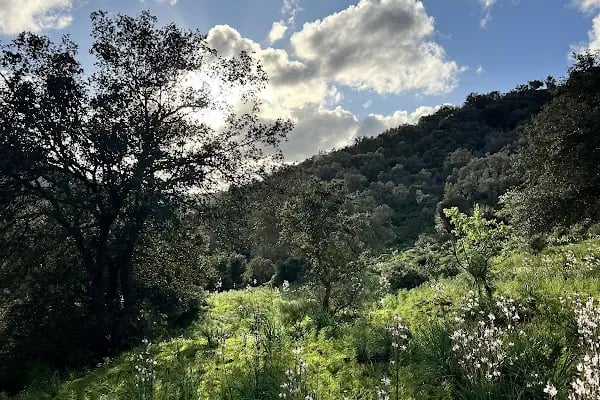 Leleg Yolu - Resim 10