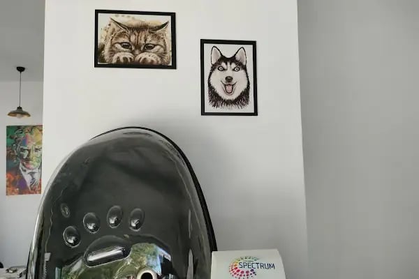 Pisikopati veteriner kliniği - Resim 1