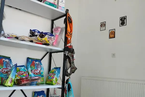 Pisikopati veteriner kliniği - Resim 2