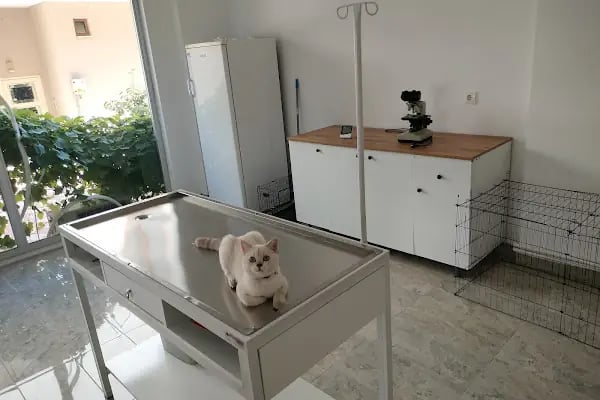 Pisikopati veteriner kliniği - Resim 3