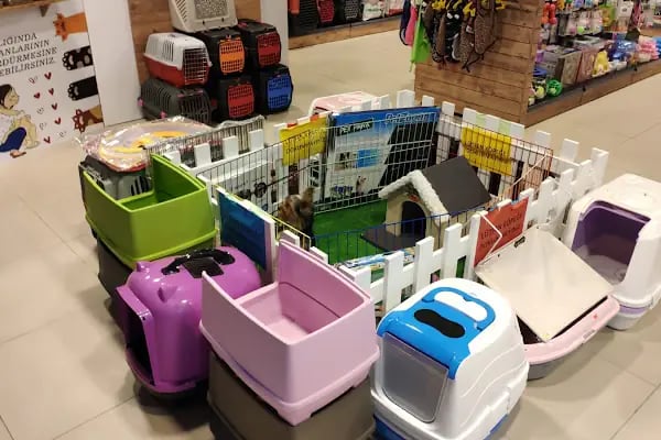 Kapaklı Petshop - Corner Pet Shop - Resim 3