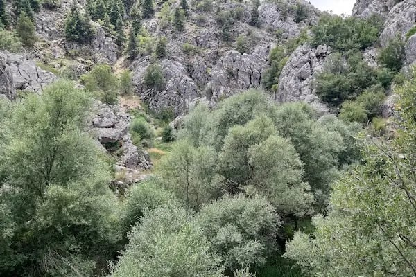 Derebucak Çamlık Mağaraları Tabiat Anıtı - Resim 13