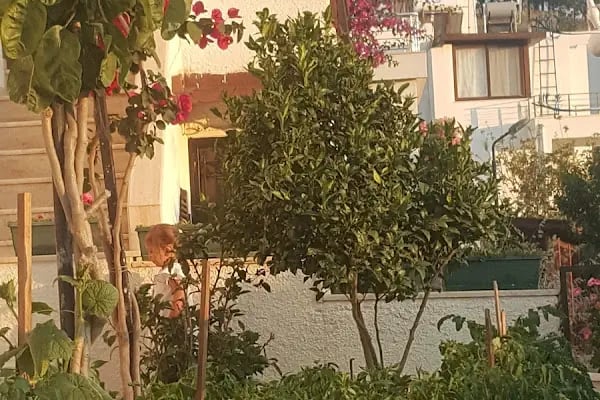 Pınar Sitesi - Resim 17