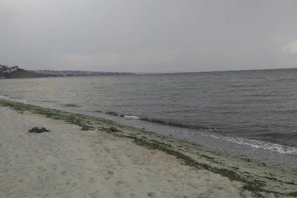Sultanköy Plajı - Resim 11