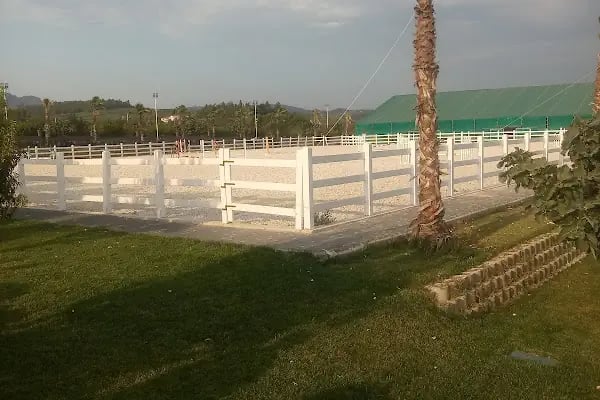 Euphoria Boss Country Club - Resim 10