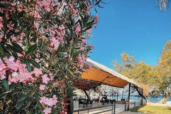 Sunny Garden Beach Karaincir - Resim 15