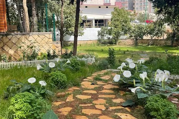 Kids Education Academy(Özel Mardin Anaokulu) - Resim 3