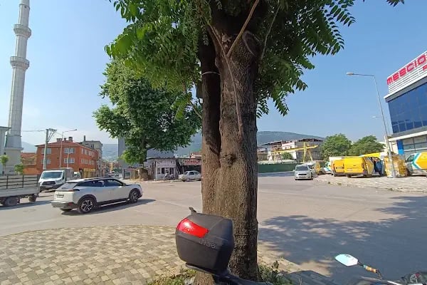 PTT Osmangazi PKDM - Resim 4