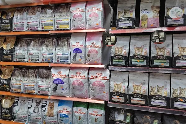 İLKİM PETSHOP - Resim 2