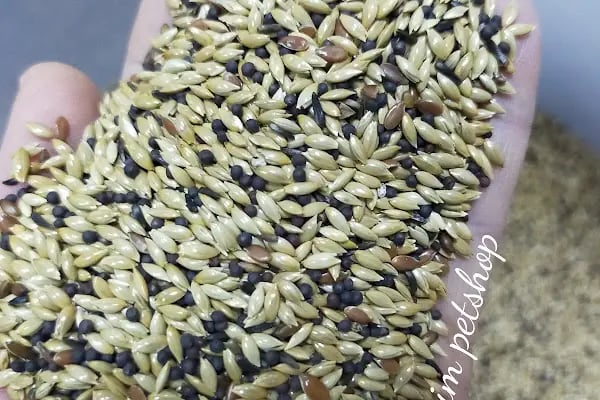 İLKİM PETSHOP - Resim 3