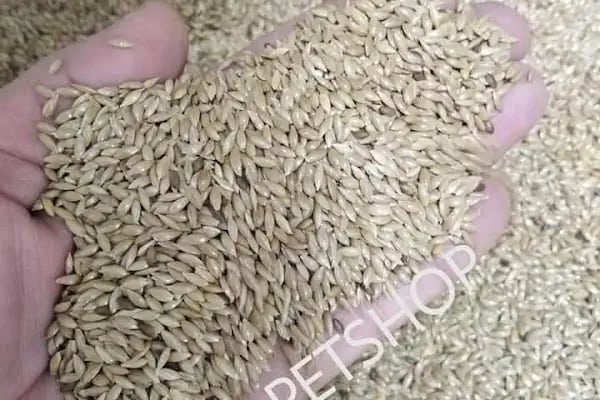 İLKİM PETSHOP - Resim 11