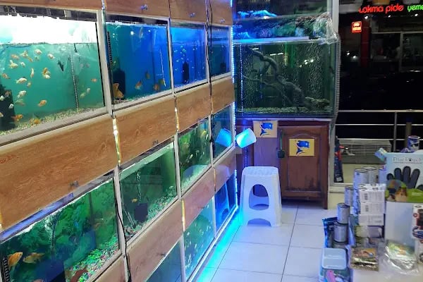 ALİ BABANIN ÇİFTLİĞİ PETSHOP - Resim 14