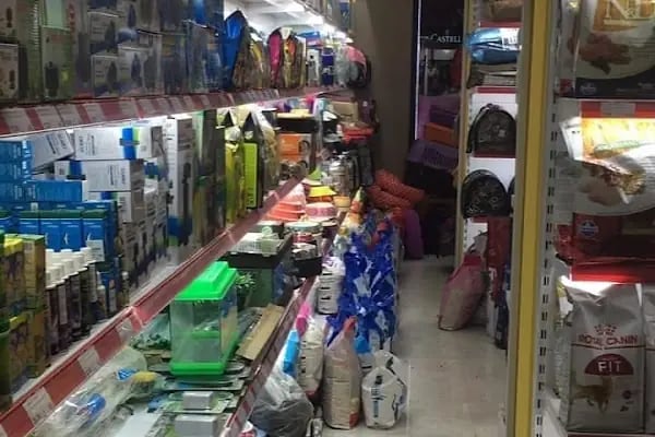 ALİ BABANIN ÇİFTLİĞİ PETSHOP - Resim 15