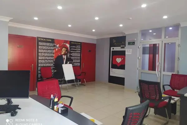 Bursa Osmangazi American Vip Dil Kursu - Resim 5