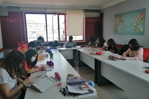 Bursa Osmangazi American Vip Dil Kursu - Resim 2