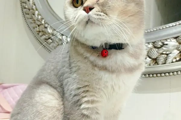 Özel Cinkaya Veteriner Kliniği - Resim 2