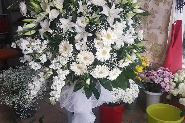 Petunya Çiçekçilik - Resim 18