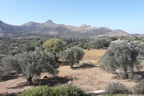 Akçaalan Mahallesi - Resim 1