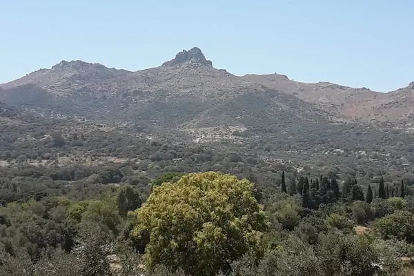 Akçaalan Mahallesi - Resim 6