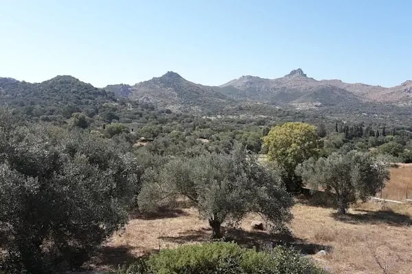 Akçaalan Mahallesi - Resim 14