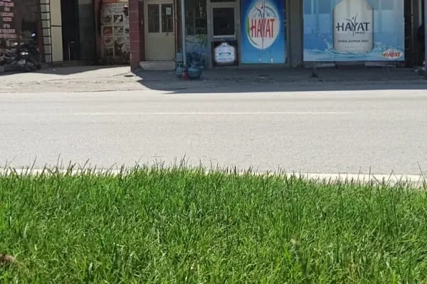 Gemlik Hayat Su - Resim 2