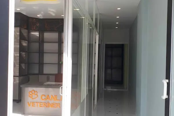 Martı Veteriner Kliniği - Resim 17