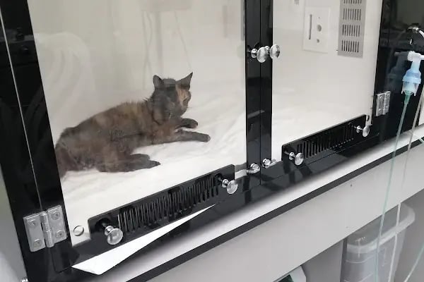 Martı Veteriner Kliniği - Resim 8