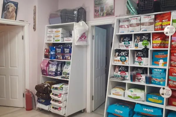 Doğan Veteriner Kliniği - Resim 7