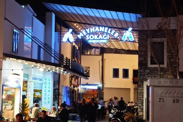 Bodrum Otogar Best Seyahat - Resim 8