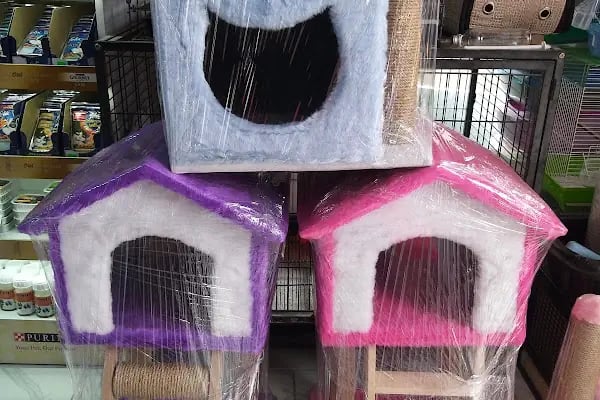 Yalçın Akvaryum &amp; Pet Shop - Resim 17