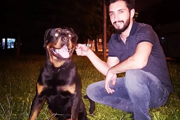 Yalçın Akvaryum &amp; Pet Shop - Resim 20