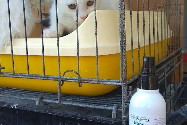 Yalçın Akvaryum &amp; Pet Shop - Resim 5
