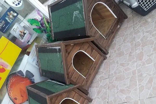 Yalçın Akvaryum &amp; Pet Shop - Resim 11