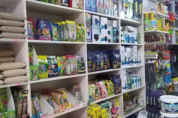 Yalçın Akvaryum &amp; Pet Shop - Resim 13