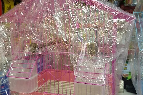 Gazikent Petshop - Resim 9
