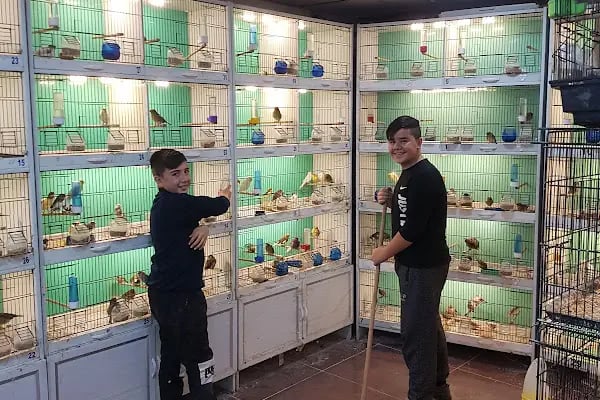 Gazikent Petshop - Resim 12