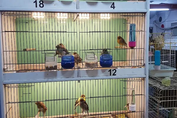 Gazikent Petshop - Resim 14