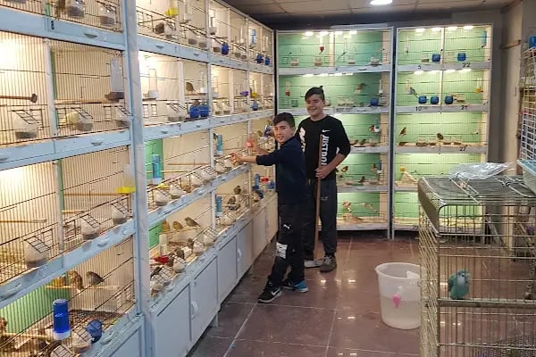 Gazikent Petshop - Resim 16