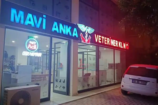 Finike Mavi Anka Veteriner Kliniği - Resim 6