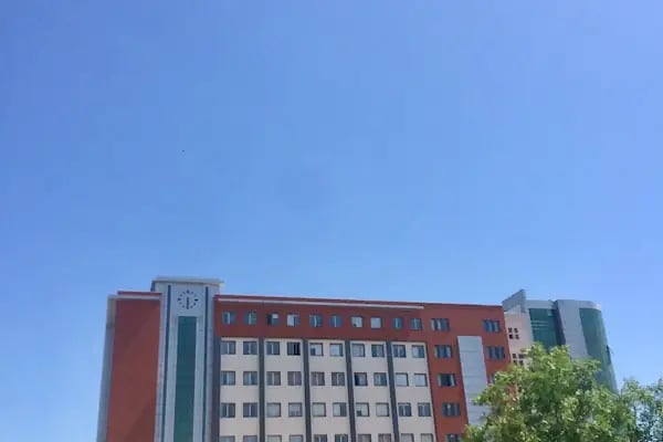 Dokuz Eylül Üniversitesi Güzel Sanatlar Enstitüsü - Resim 4