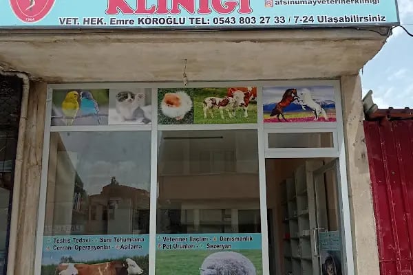 Afşin Umay veteriner kliniği - Resim 4