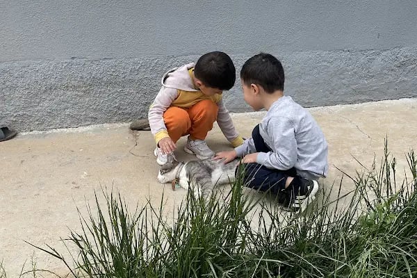 Afşin Umay veteriner kliniği - Resim 14