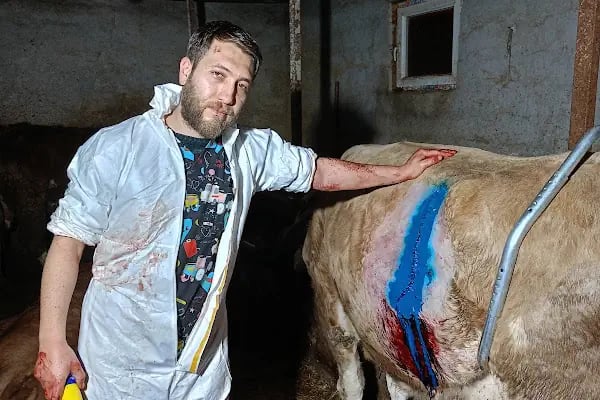Afşin Umay veteriner kliniği - Resim 5