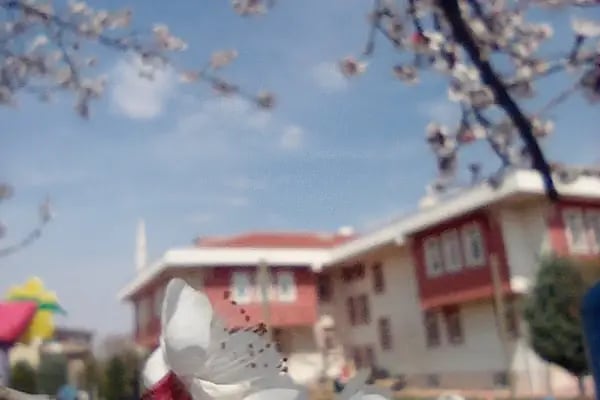 Çamlıca Çocuk Anaokulu - Resim 3