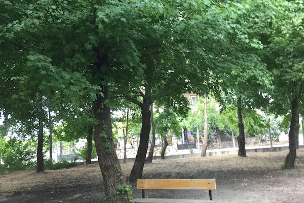 Karaçalı İlkokulu - Resim 4