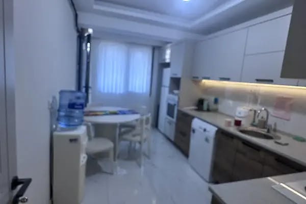 Aslı Temizlik - Resim 5
