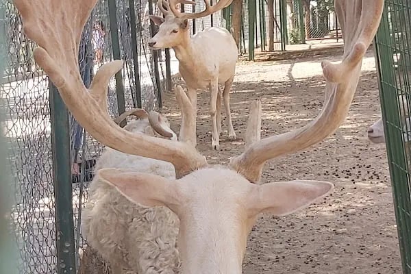 Malatya Hayvanat Bahçesi - Resim 20