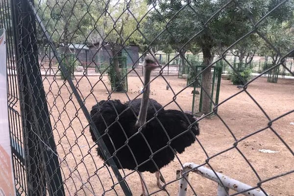 Malatya Hayvanat Bahçesi - Resim 11