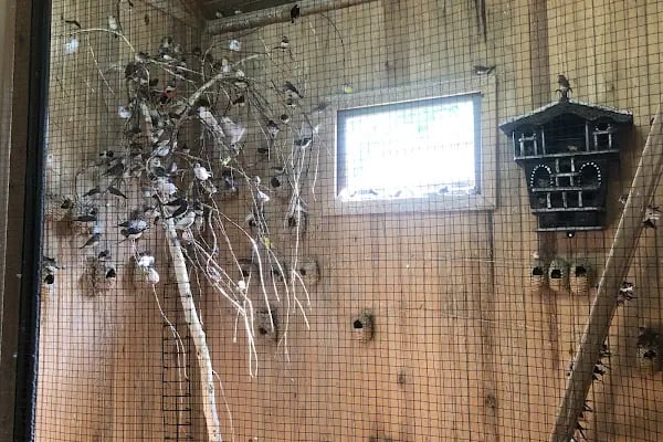 Malatya Hayvanat Bahçesi - Resim 8