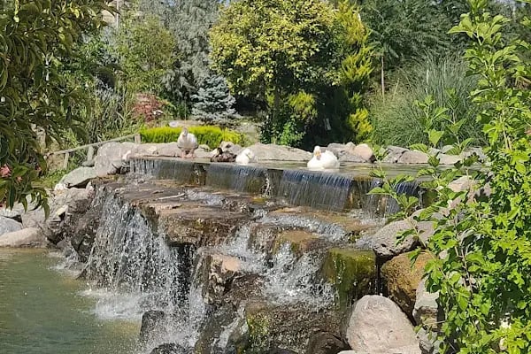 Malatya Hayvanat Bahçesi - Resim 19